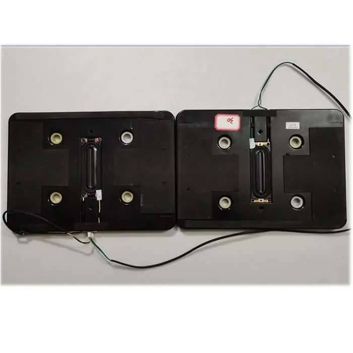 BN96-11610A haut parleur