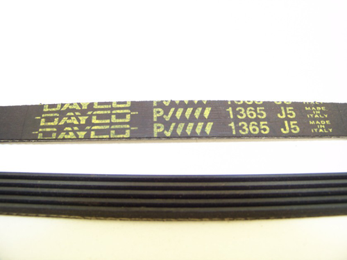 EL 1365 J5 courroie DAYCO pour lave linge 
